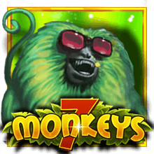 7 Monkeys JP